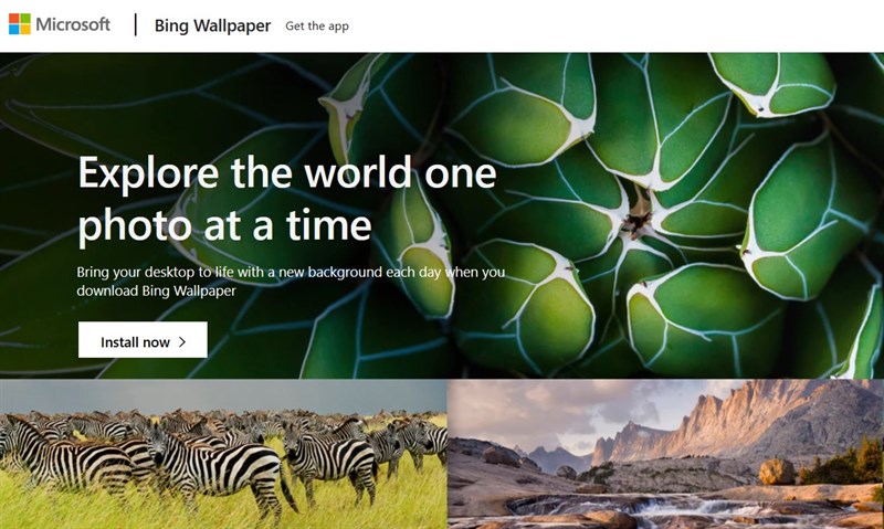 48 Bing Full HD Wallpapers  WallpaperSafari