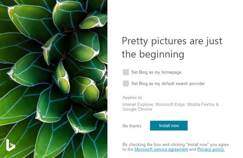 New Bing Wallpaper app lets you set Bing's daily images as your desktop  wallpaper - Neowin