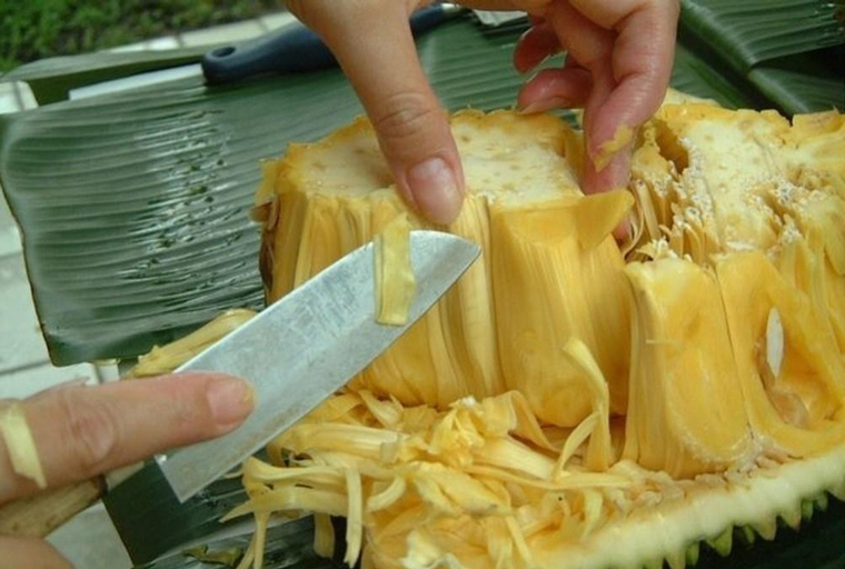 Bước 1 Sơ chế nguyên liệu Mít sấy bằng lò nướng