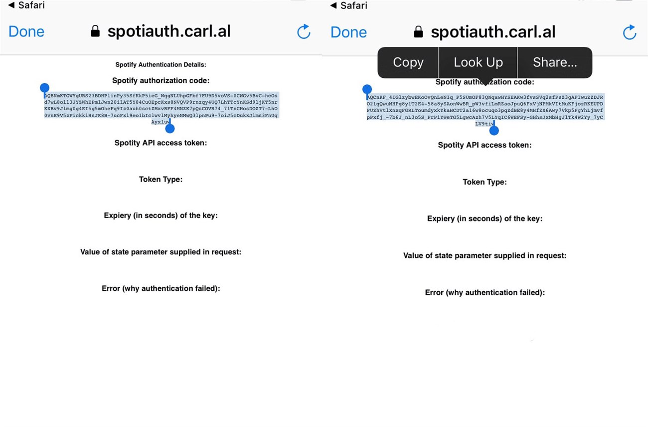 Hướng dẫn cách thêm và sử dụng Siri Shortcuts trên Spotify > sao chép đoạn code