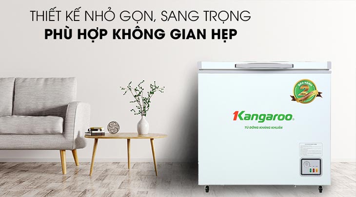 Tủ đông một ngăn sở hữu thiết kế sang trọng, tinh tế