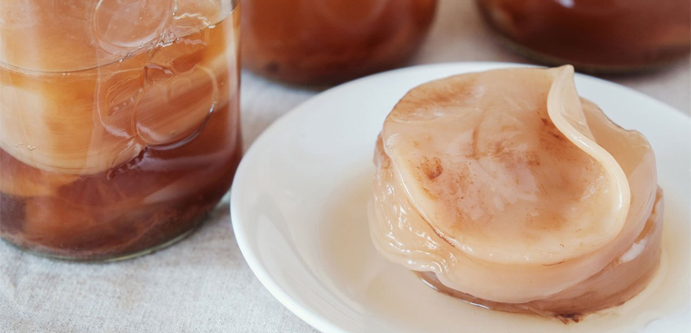 Kombucha La Gi Lợi Ich Cach Nuoi Scoby Va Những Lưu Y Khi Sử Dụng