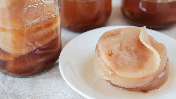 Kombucha - Nấm thuỷ sinh là gì?