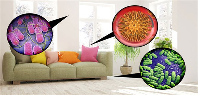 Dấu hiệu nhận biết và cách khắc phục ô nhiễm không khí trong nhà ở