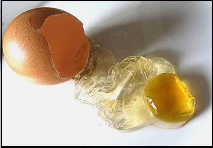 Differentiating fake eggs