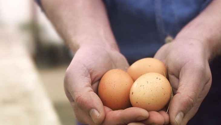 Tất tần tật về trứng, cách chọn trứng tươi ngon, cách bảo quản và cách phân biệt trứng giả > Quan sát vỏ trứng