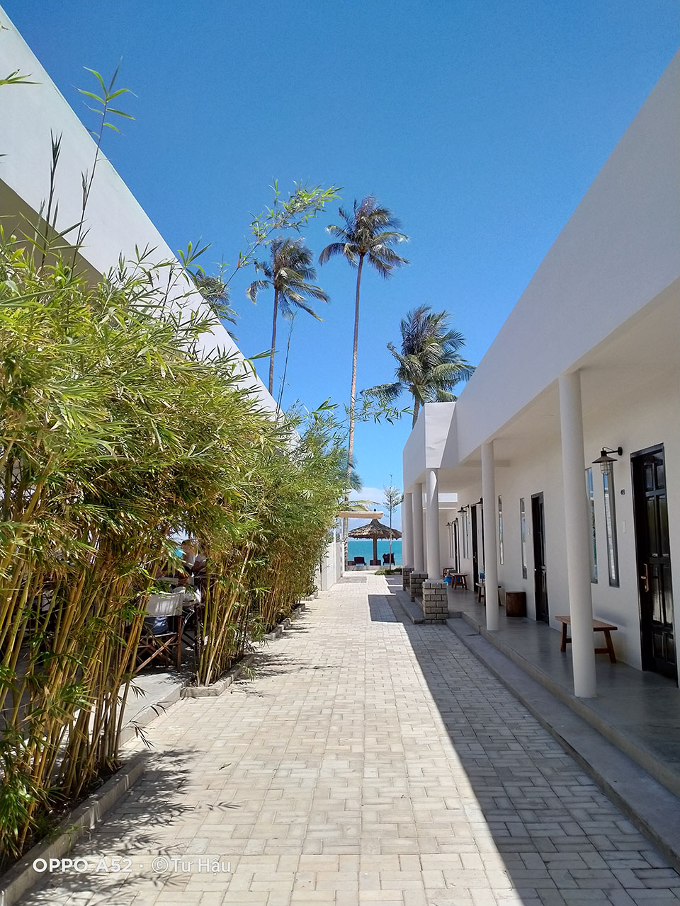 OPPO A52 chụp đủ sáng OPPO A52 chụp đủ sáng