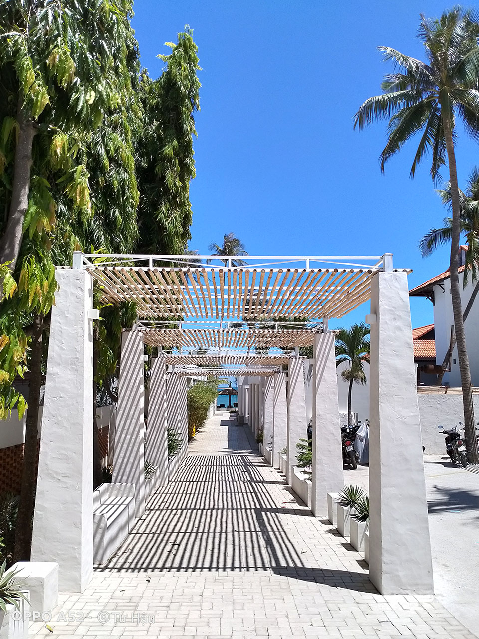 OPPO A52 chụp đủ sáng OPPO A52 chụp đủ sáng