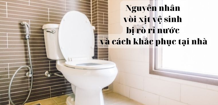 Nguyên nhân vòi xịt vệ sinh bị rò rỉ nước và cách khắc phục tại nhà