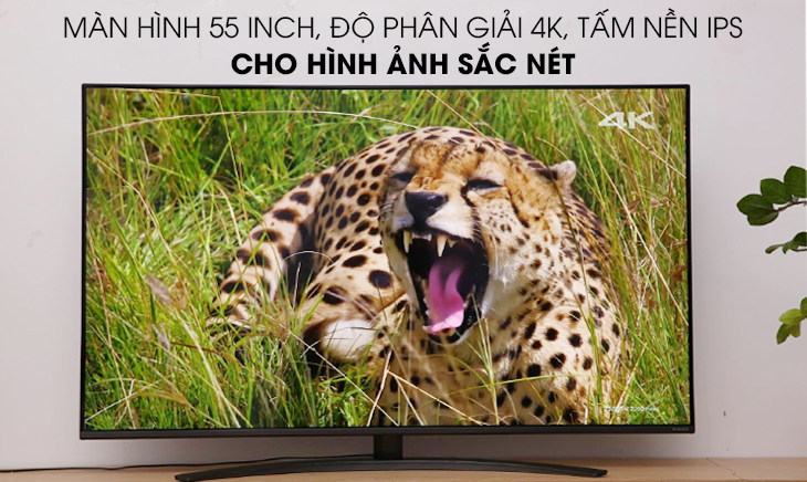 Màn hình 55 Inch với độ phân giải 4K