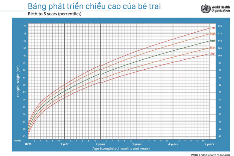 bảng phát triển chiều cao của bé trai