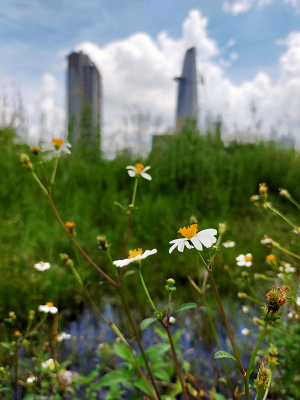 Camera OPPO A92 Camera OPPO A92