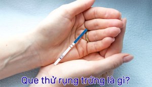 Que thử rụng trứng là gì? Cách sử dụng que thử rụng trứng sao cho chuẩn xác