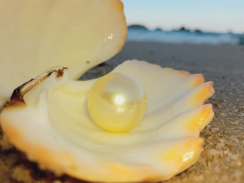 Ảnh chụp ngọc trai bằng camera macro