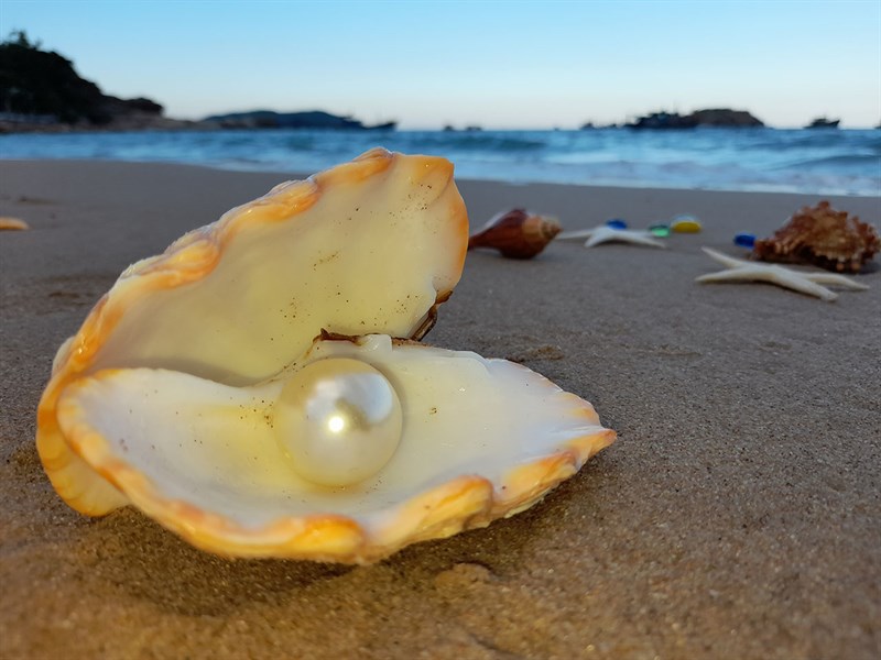 Ảnh chụp ngọc trai bằng camera macro