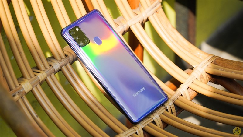 mặt lưng lấp lánh