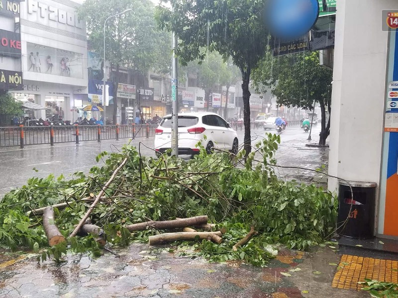 Lưu ý quan trọng khi ra đường trong trời mưa bão, giông lốc