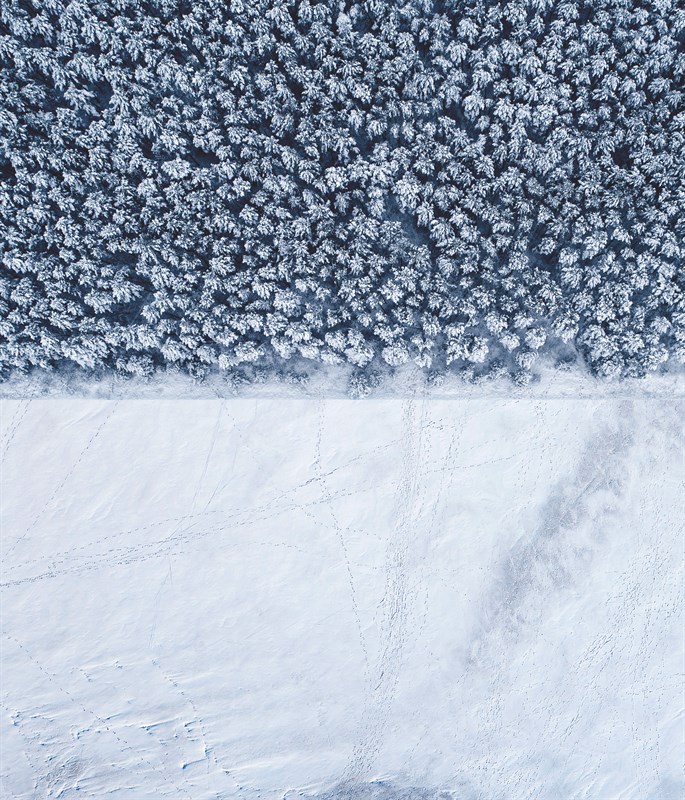 xperia1iiwallpaper1_2192x2560