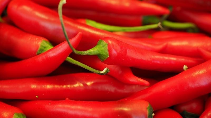 Nutritional value of chili
