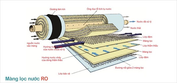 Những bệnh phổ biến do ô nhiễm nguồn nước và 10 cách làm sạch nước