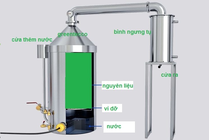 Những bệnh phổ biến do ô nhiễm nguồn nước và 10 cách làm sạch nước