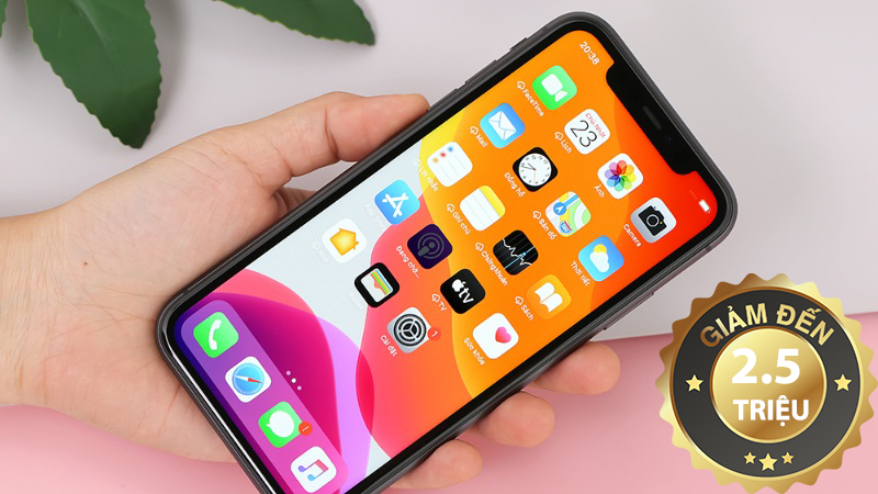 iPhone 11 iPhone 11