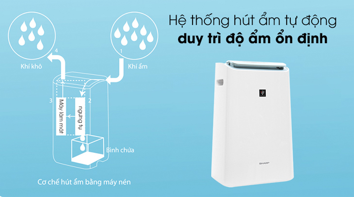 Hệ thống hút ẩm bằng máy nén