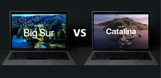 So sánh macOS Big Sur và macOS Catalina: Có đáng để nâng cấp?