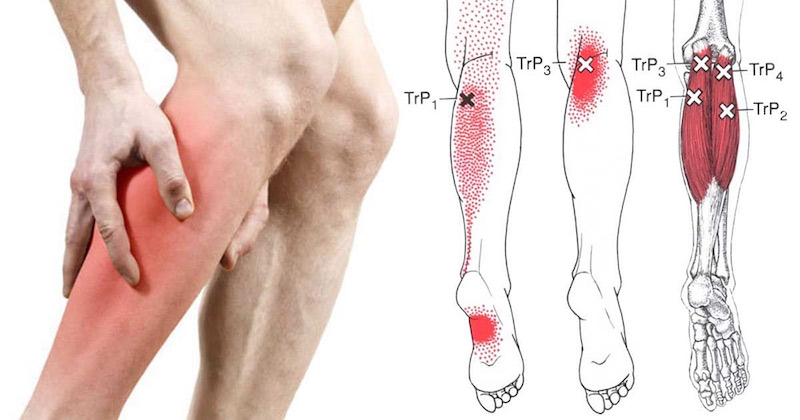 Rung chân không chỉ là một hành động thiếu lịch sự mà còn tiềm ẩn bệnh