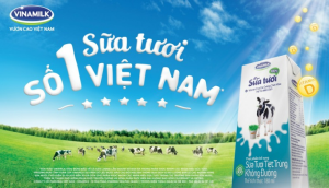 Vinamilk - Thương hiệu sữa tươi hàng đầu Việt Nam có những loại nào?