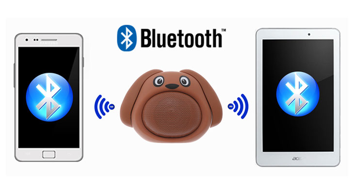 Loa Bluetooth