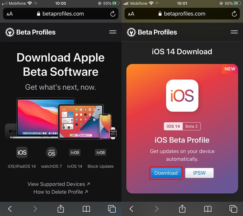 Chọn phiên bản iOS 14 Beta 2 phù hợp với thiết bị của bạn và nhấn nút Download