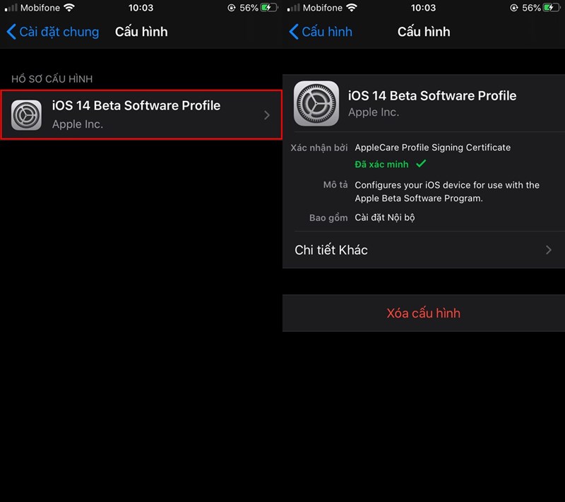 Kiểm tra để có sẵn hồ sơ phần mềm iOS 14 beta