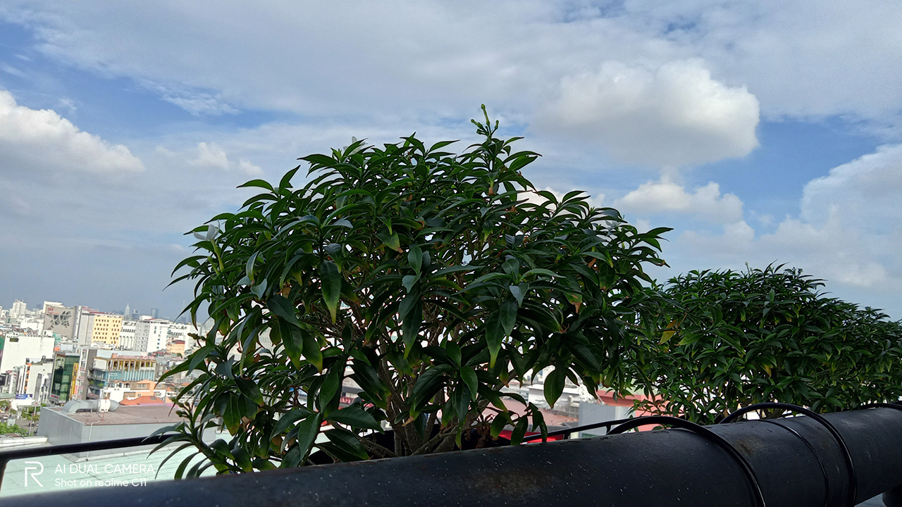 Ảnh chụp từ Realme C11