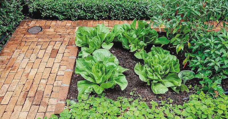 Tận dụng triệt để sân nhỏ hoặc vườn bên cạnh nhà