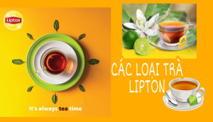 Trà Lipton có mấy loại?