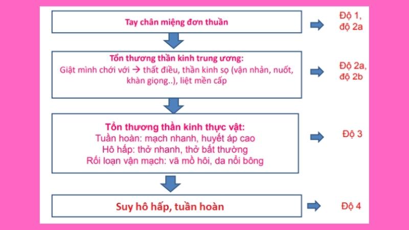 Phân độ bện tay chân miệng