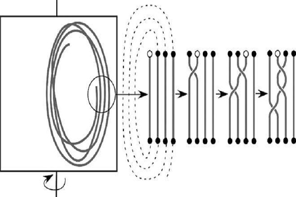 Ảnh minh hoạ Ảnh minh hoạ