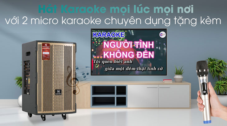 Loa kéo Karaoke Nanomax S-1000 450W được tặng kèm 2 micro chuyên dụng