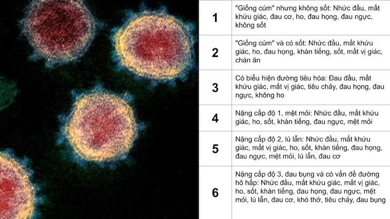  6 nhóm triệu chứng cụ thể đại diện cho 6 chủng