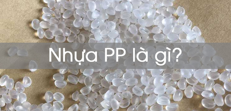 PP có thể phân loại thành những loại nào?
