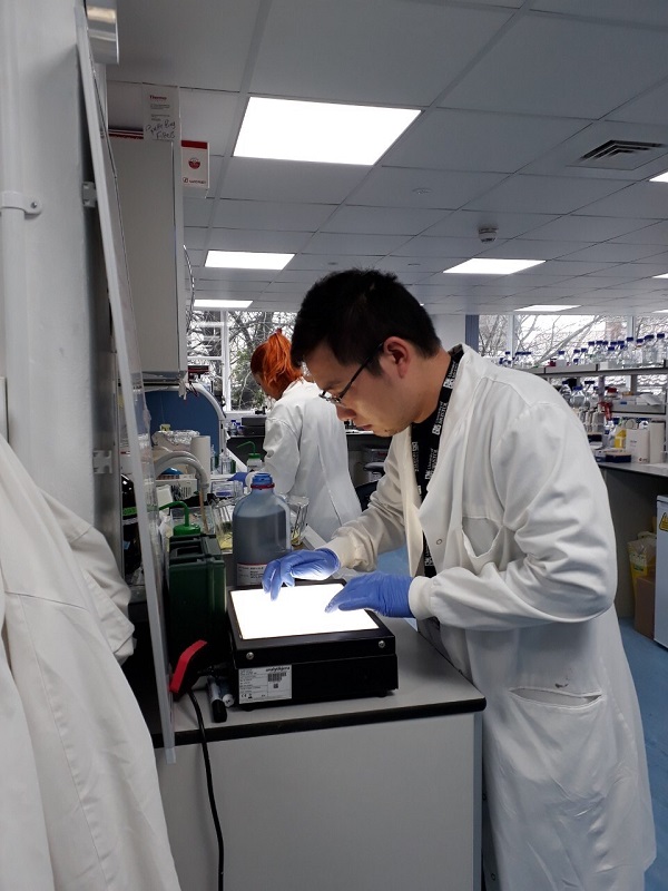 ThS. Mạc Văn Trọng đang phân tích kết quả biểu hiện gen S của COVID-19 tại Phòng thí nghiệm Viện Sinh-Hóa, Trường Đại học Bristol (Anh)