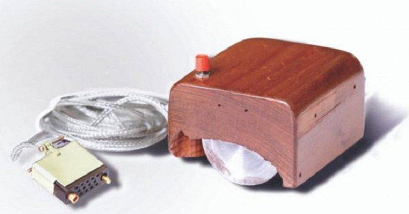 phiên bản chuột đầu tiên