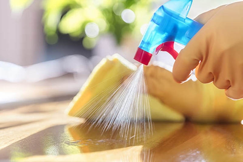 Bạn nên thường xuyên vệ sinh đồ đạt xung quanh nhà bạn nhé!