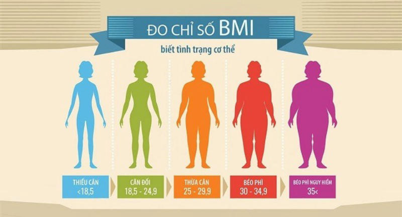 Chỉ số BMI lý tưởng được các tổ chức y tế đưa ra là vào mức 18,5 - 25