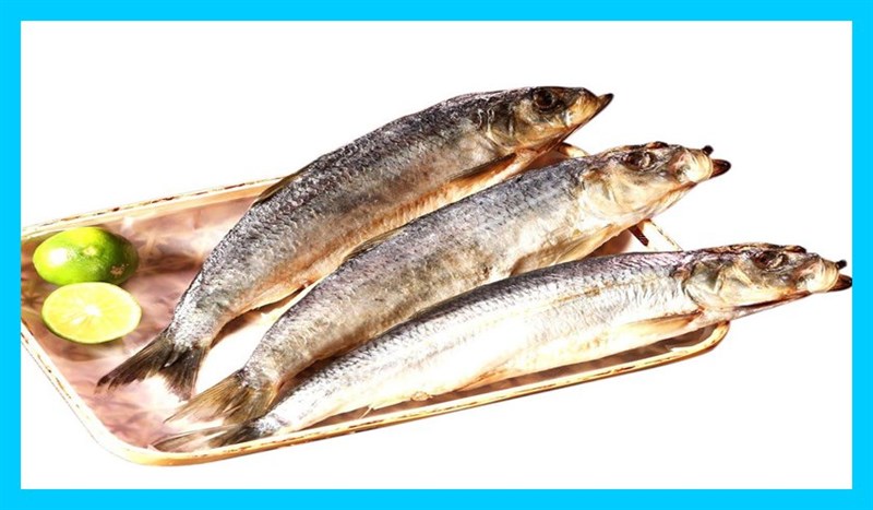 Cá trích là nguồn cung cấp omega 3 rất dồi dào