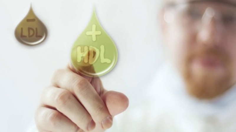 Omega 3 giúp làm tăng HDL trong cơ thể