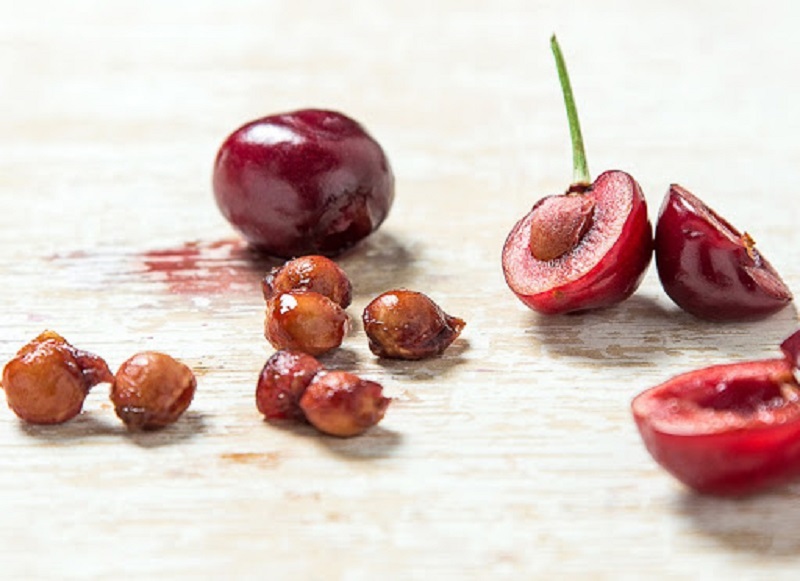 hạt cherry chính là bộ phận gây độc hại