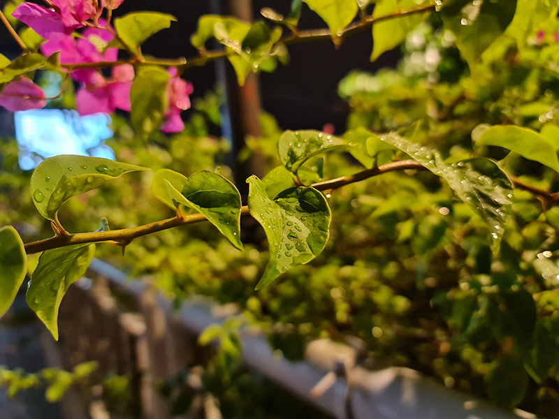 Camera Samsung Galaxy Note20 Ultra Camera Samsung Galaxy Note20 Ultra