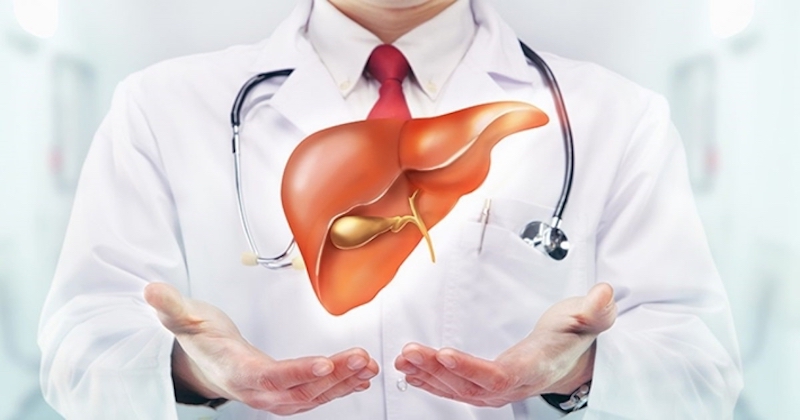 Các bệnh liên quan đến gan như gan nhiễm mỡ hoặc ung thư gan rất khó để nhận biết Các bệnh liên quan đến gan như gan nhiễm mỡ hoặc ung thư gan rất khó để nhận biết